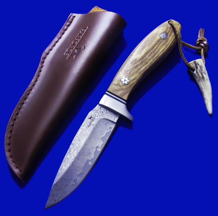 ���ֻ���Parforce ����ʿ���Ե�