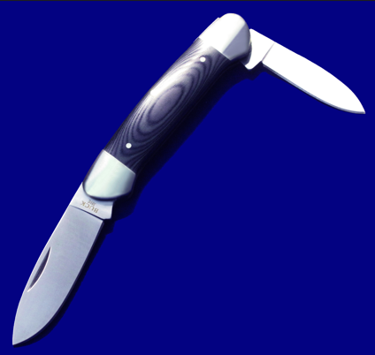 ؼֻۣBUCKͿ 389 ˫ʿ۵